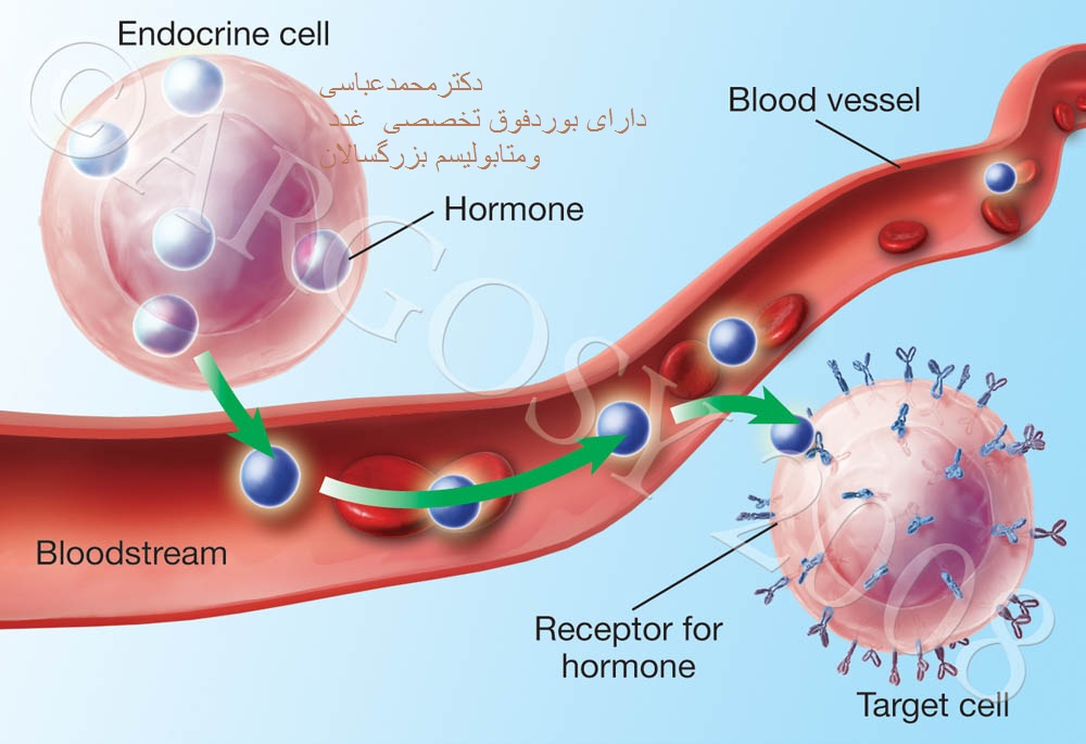 وب سایت نوبت دهی اینترنتی مطب دکتر احد صافی زاده